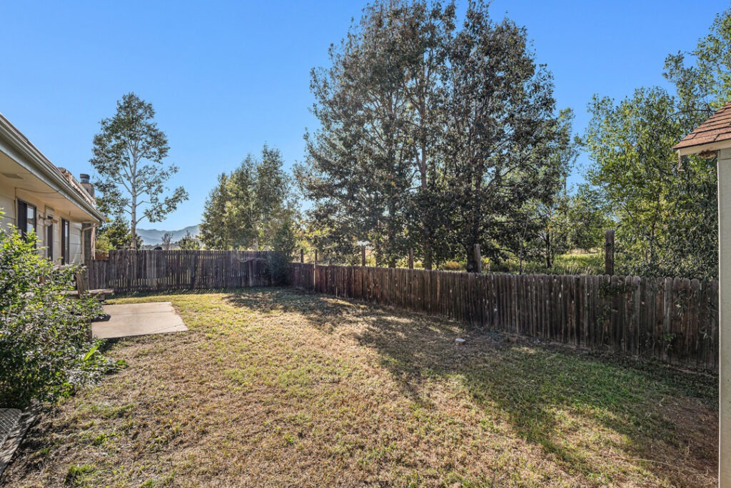 033 P1190454