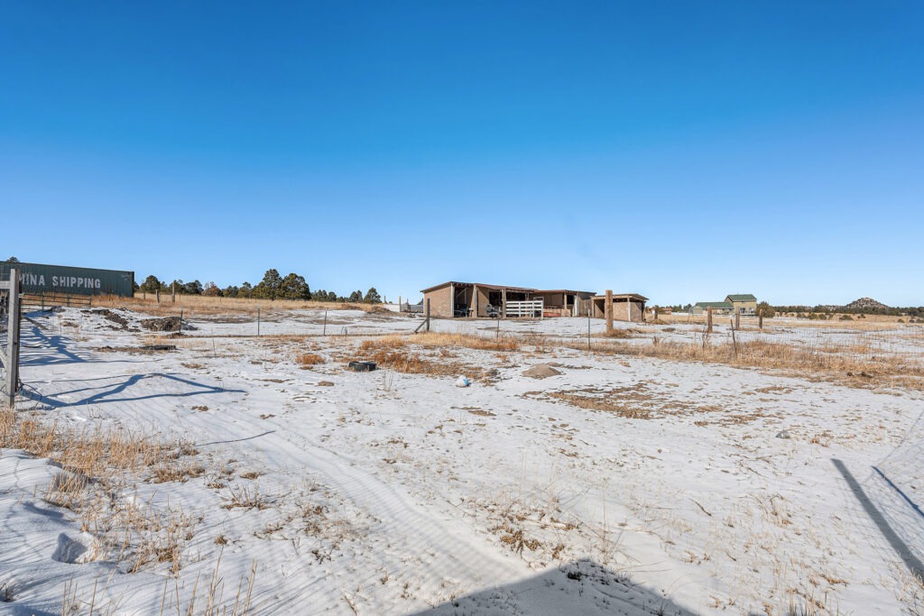 033 P1237435