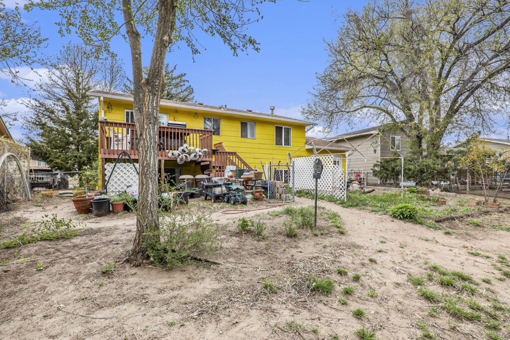 019 P1263527