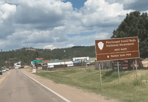 Find homes for sale in Florissant with Barb Schlinker