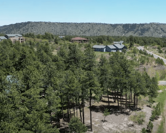 Find Larkspur homes for sale with Barb Schlinker.