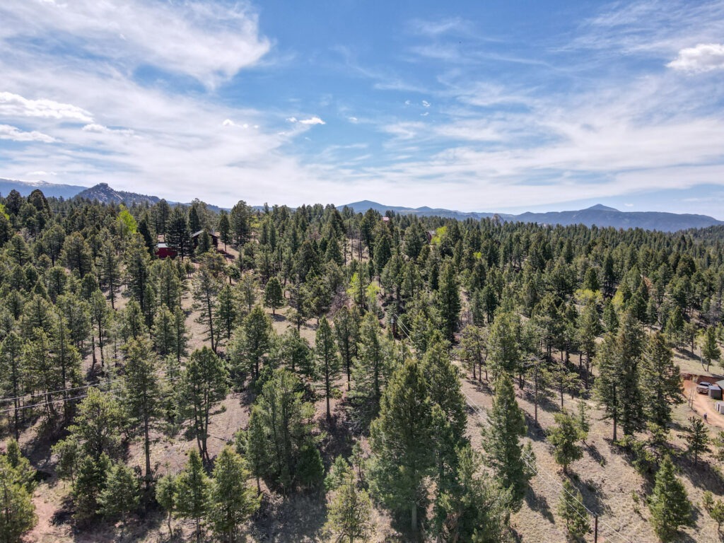 Cascade Cir 41