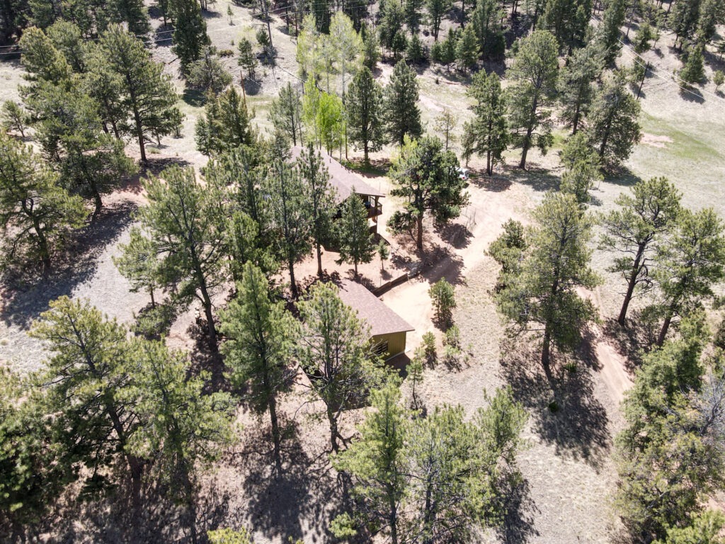 Cascade Cir 46