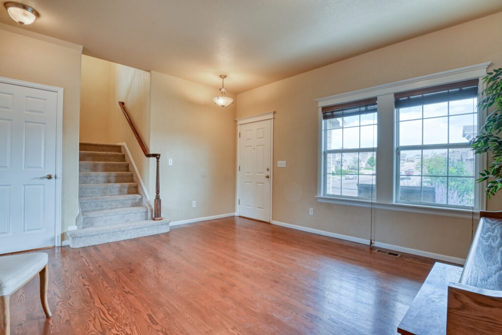 Red Cardinal Loop 12