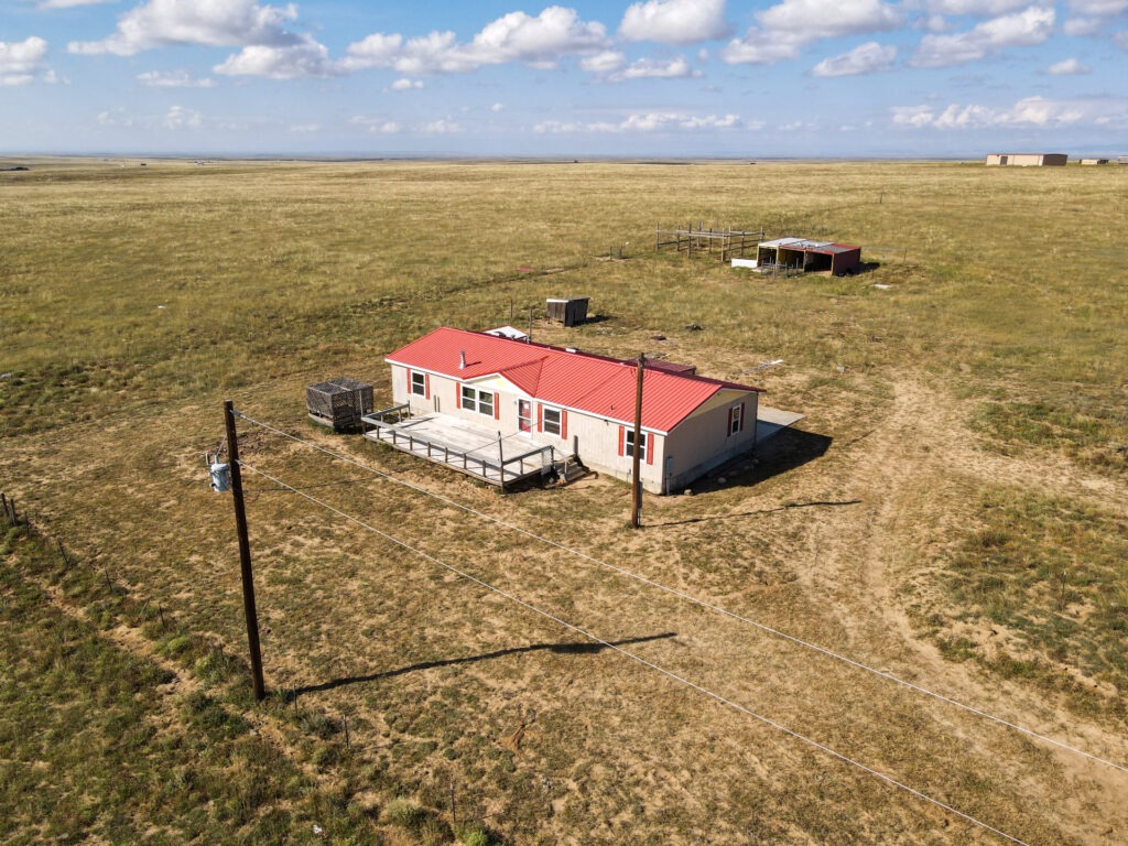 Dan View 54