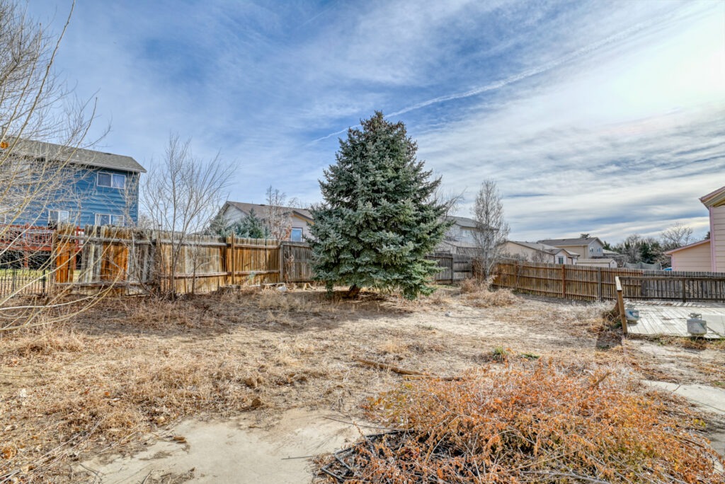 Harrington Drive 5