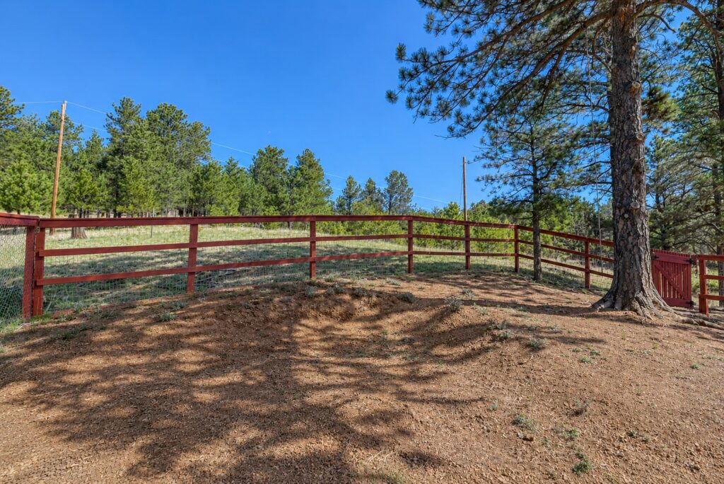 Blue Mesa Drive 12