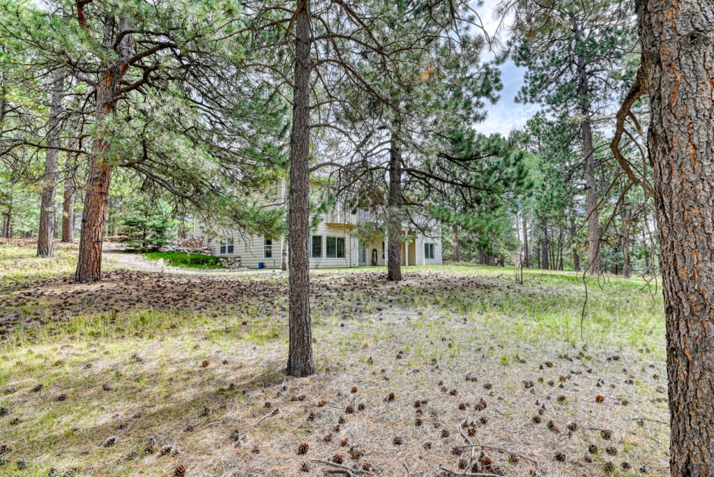 Piney Ridge Way 7