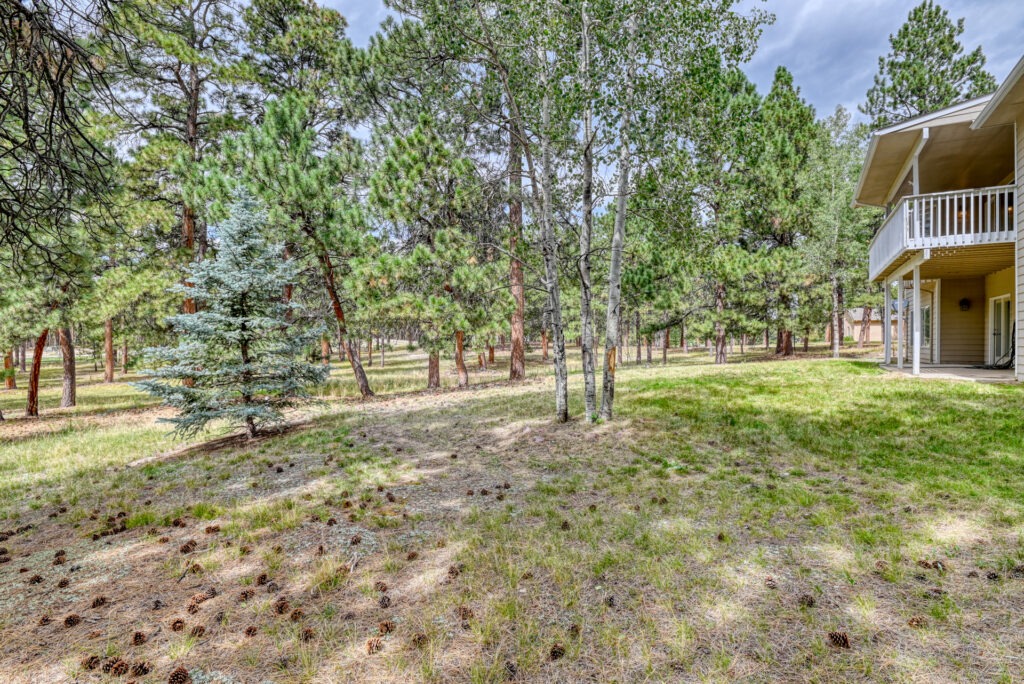 Piney Ridge Way 9